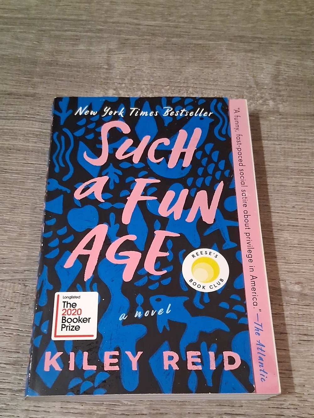 Such a Fun Age by - Blue & Pink Paperback Novel